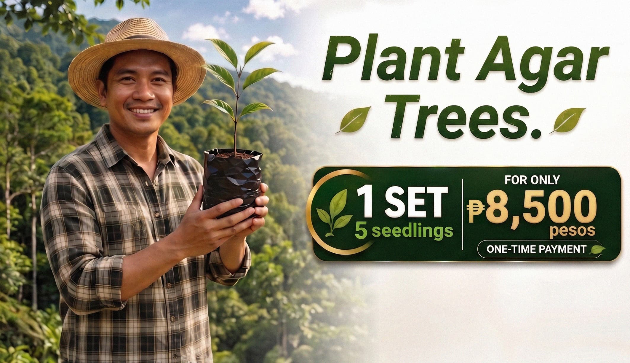 Plant agar trees: one set of 5 seedlings for ₱8,500, one-time payment.